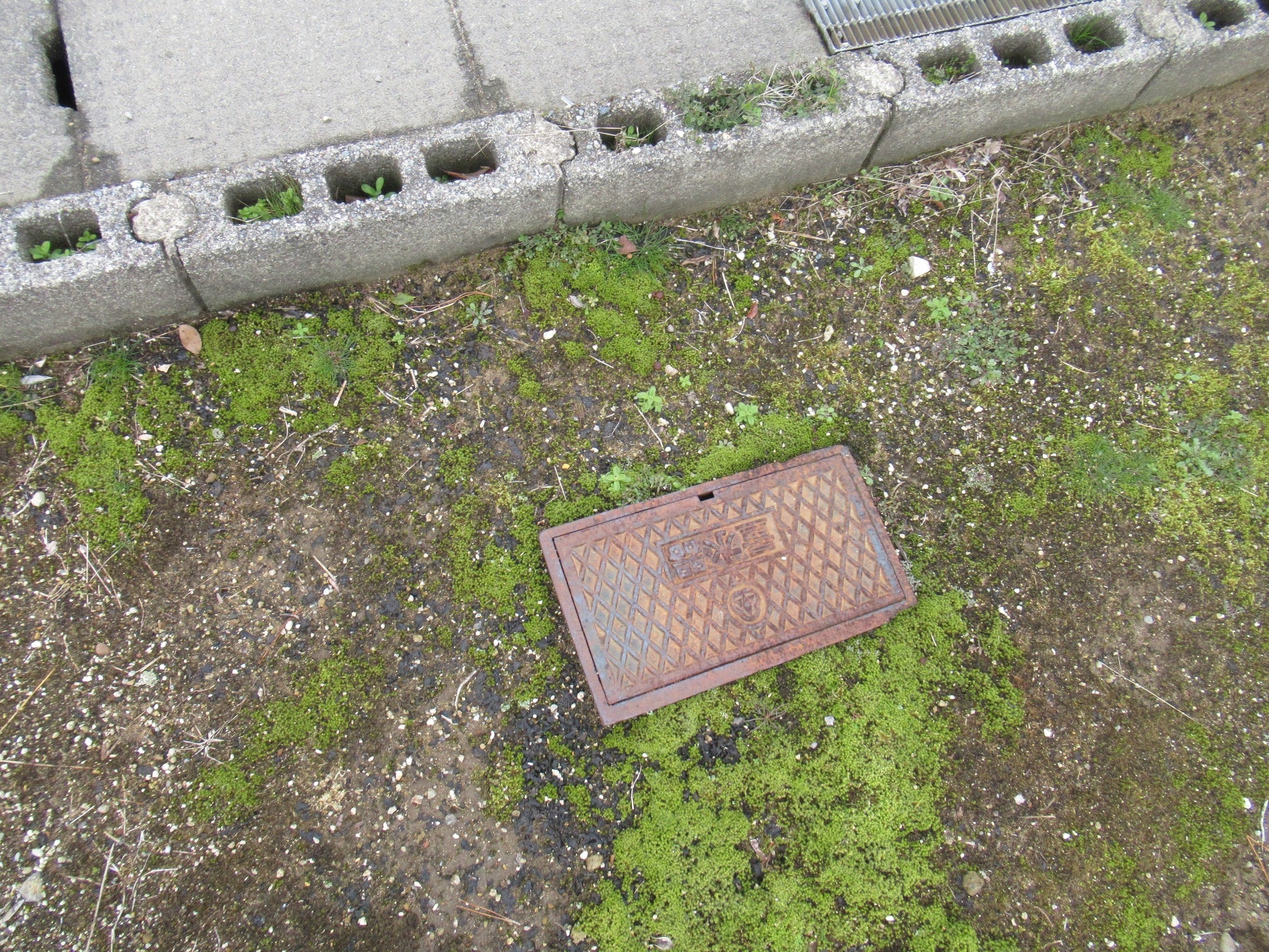  軽海町