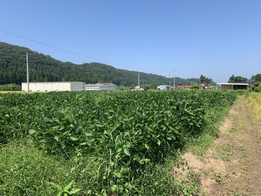  原町